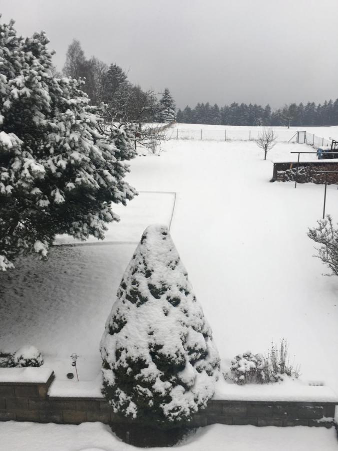 Luftkurort Lückendorf Haus Bergblickヴィラ エクステリア 写真